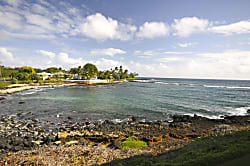 Kuhio Shores 204