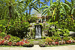 Kaanapali Shores Garden View