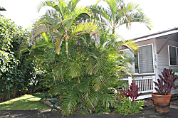 Haiku Maui Cottage 3 BR Home