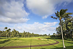 Turtle Bay Pikake