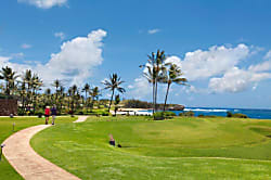 Kahala 421