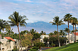 Palms at Wailea #205