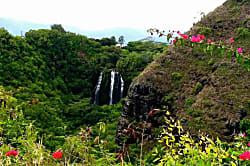 Wailua Riverside Cottage