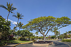 Maui Vista 1317