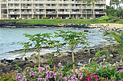 Kuhio Shores Ground Floor