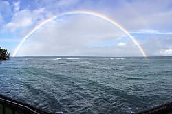 Kahana Reef 320