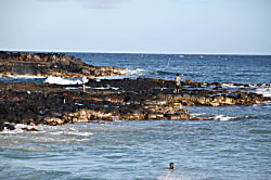 Kuhio Shores Condo Rental