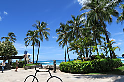 Kuhio Village Tower #1 