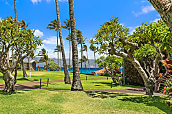 Napili Shores C116