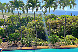 Maui Ocean Palms