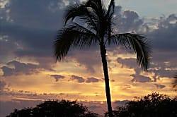 Maui Parkshore