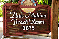 Hale Mahina B401