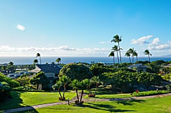 Wailea Ekolu 806