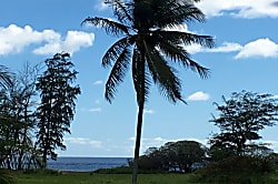 Coconut Coast Ocean View Condo