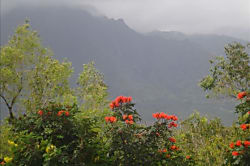 Hanalei Vista House