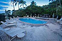 Kahala Condo Rental