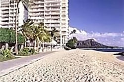 Waikiki Banyan for 2