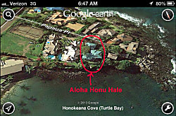 Aloha Honu Hale