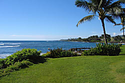 Kuhio Shores 115