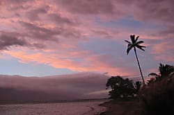 Maui Sunset B213