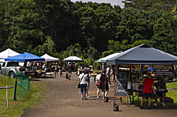 Kalihiwai Beach House