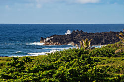 Colony I #54 on Big Island