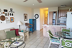 Maui Vista Condo Rental