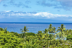 Palms at Wailea # 1510