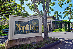 Napili Point Resort #C16