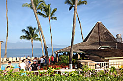 Napili Point Resort A16