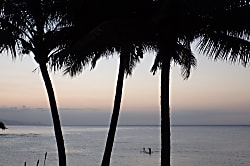 Maui by the Sea