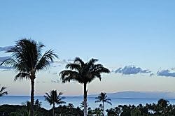 The Palms at Wailea 1202