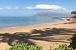 Kihei Park Shore #7