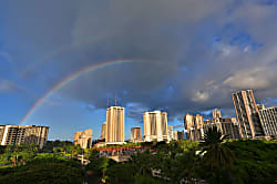 Luana Waikiki #506