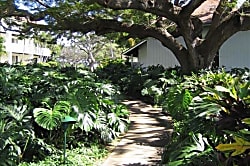 Kiahuna Plantation Rental