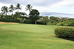 Wailea Ekolu 803