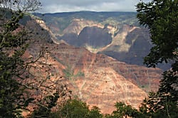 Hale Lehua