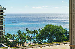 Palms at Waikiki (PW01)