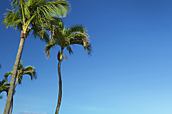 Aston Kaanapali Shores 1BO5