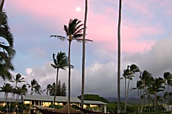 Napili Shores C121