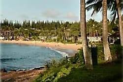 Napili Shores C121