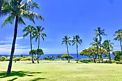 Wailea Ekolu 1505