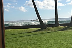 Kahakai Kona Ali’i