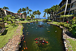 Papakea Resort D108