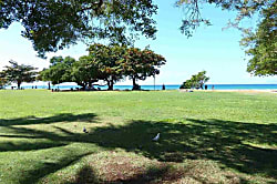 Honokowai Palms  B-5