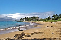 Maui Kamaole I-205