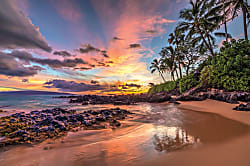 The Palms at Wailea 1304