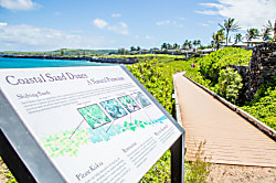 Kapalua Bay Villas 37G4