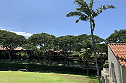 Palms at Wailea 1802