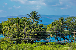 Maui Banyan H-405